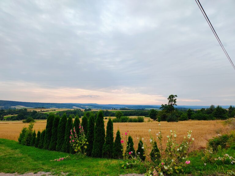 514345986_1068229215461989_2918040629035519154_n