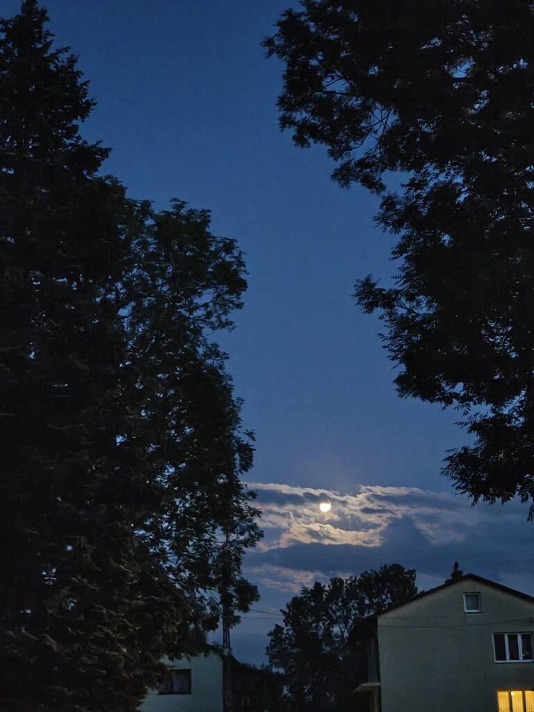 527790574_1065942025690708_1578560709873632859_n