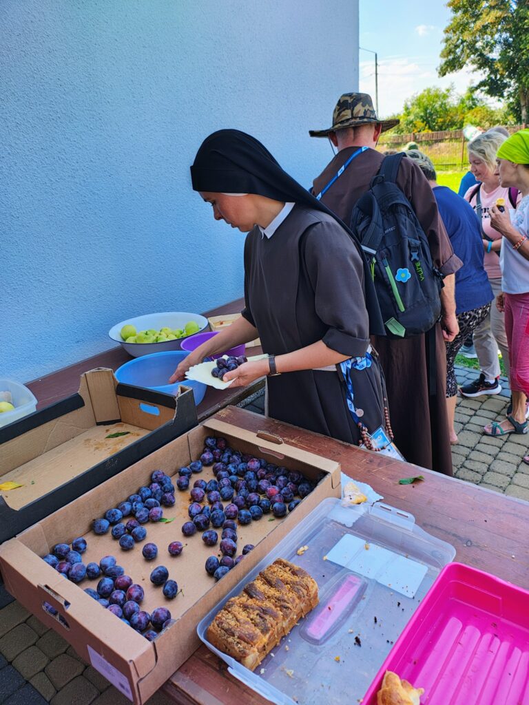 527978652_1065720365712874_805662504109881890_n