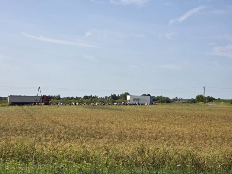 527985140_1067020598916184_4128544193018711830_n