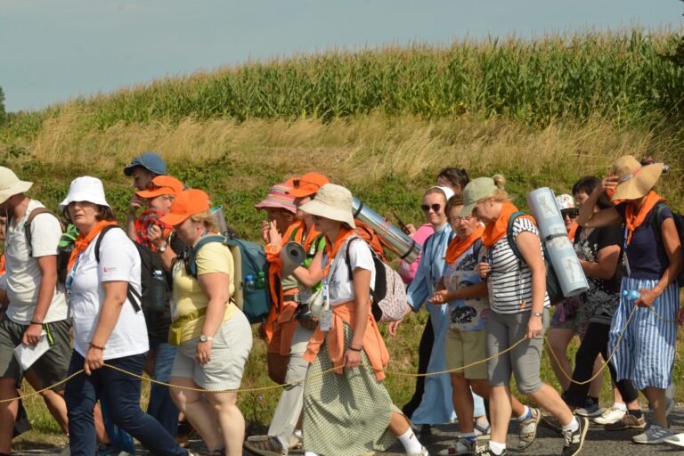 528151253_1067835542168023_763742831019608412_n