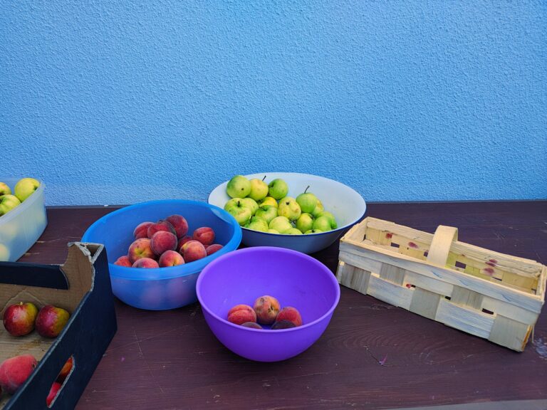 528179631_1065719965712914_3154387029043279837_n