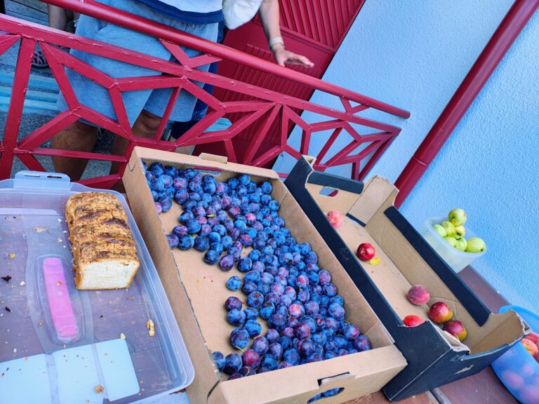 528327369_1065719752379602_1833798453803915077_n