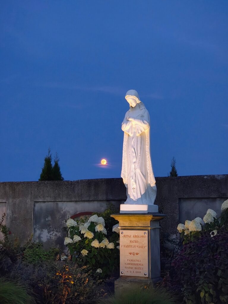 528366411_1067476935537217_2042905479537042749_n