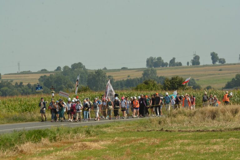 528693831_1067835845501326_8886072714012415163_n