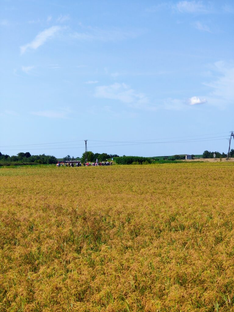 528739635_1067236242227953_5853311771511968162_n