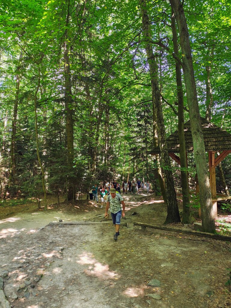 528921847_1068193582132219_8156264759323105214_n