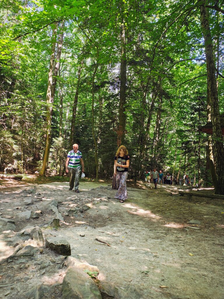 529005789_1068193018798942_8045169974652470604_n