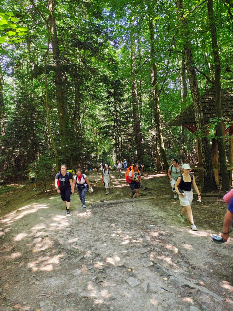 529083420_1068193158798928_1293498031662885950_n