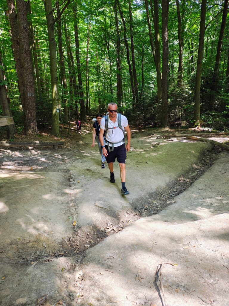 529083420_1068194035465507_3095530385789473862_n