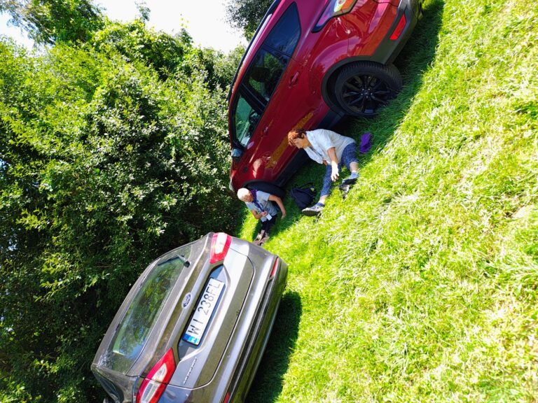 529124729_1068165815468329_899011292459813620_n