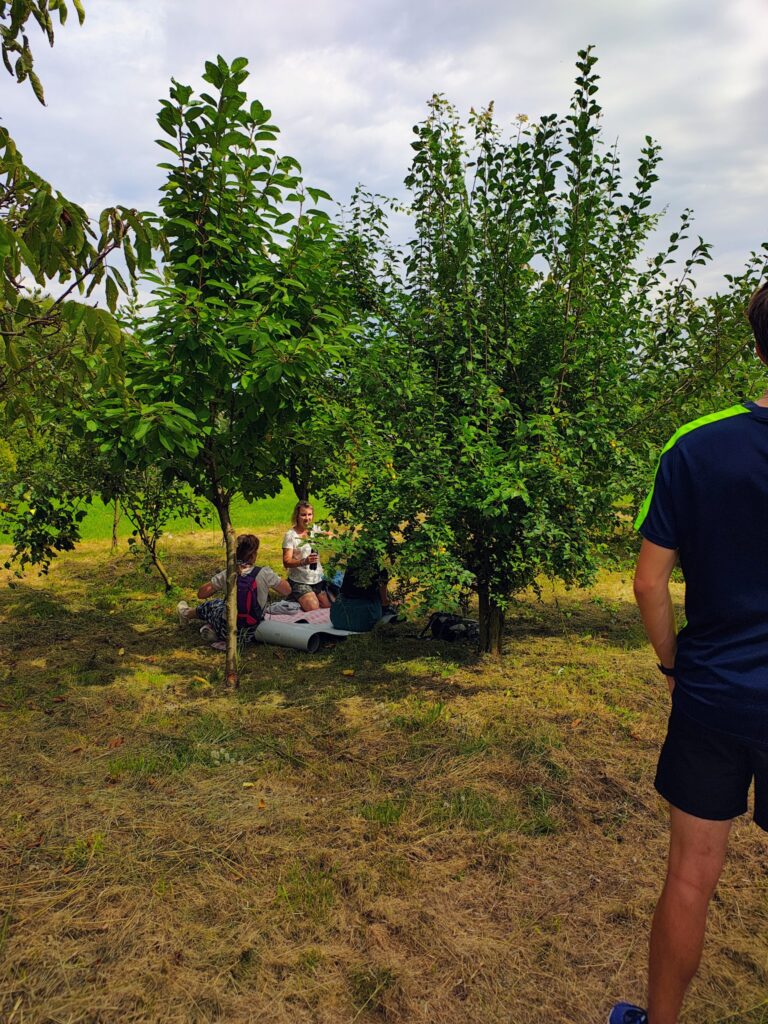 529170931_1067881395496771_6121640200578069209_n