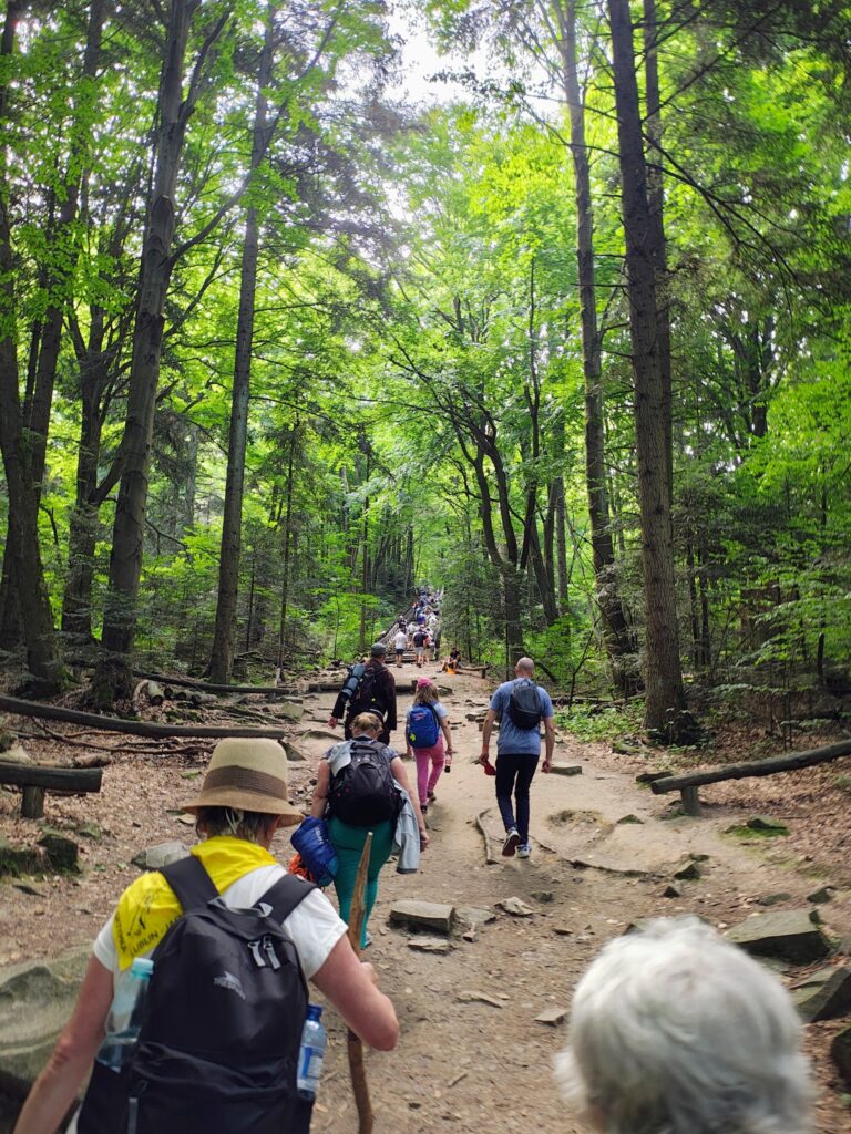 529301093_1068199928798251_8210938448637530346_n