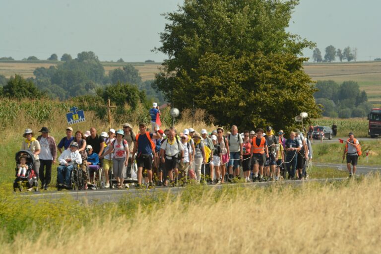 529302039_1067834585501452_4291370530166349887_n