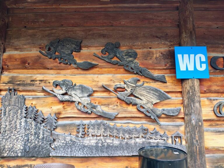 529309393_1068125168805727_8254482851663445614_n