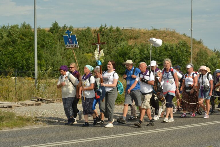 529356796_1067817542169823_5754980150921535813_n