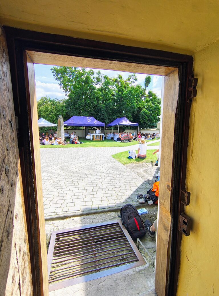 529469808_1067273492224228_4314161594127243293_n