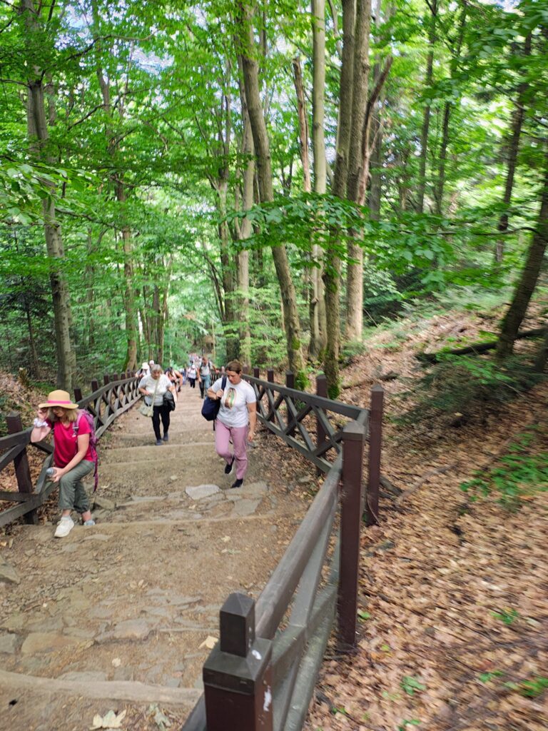 529692212_1068200358798208_877962762491974305_n