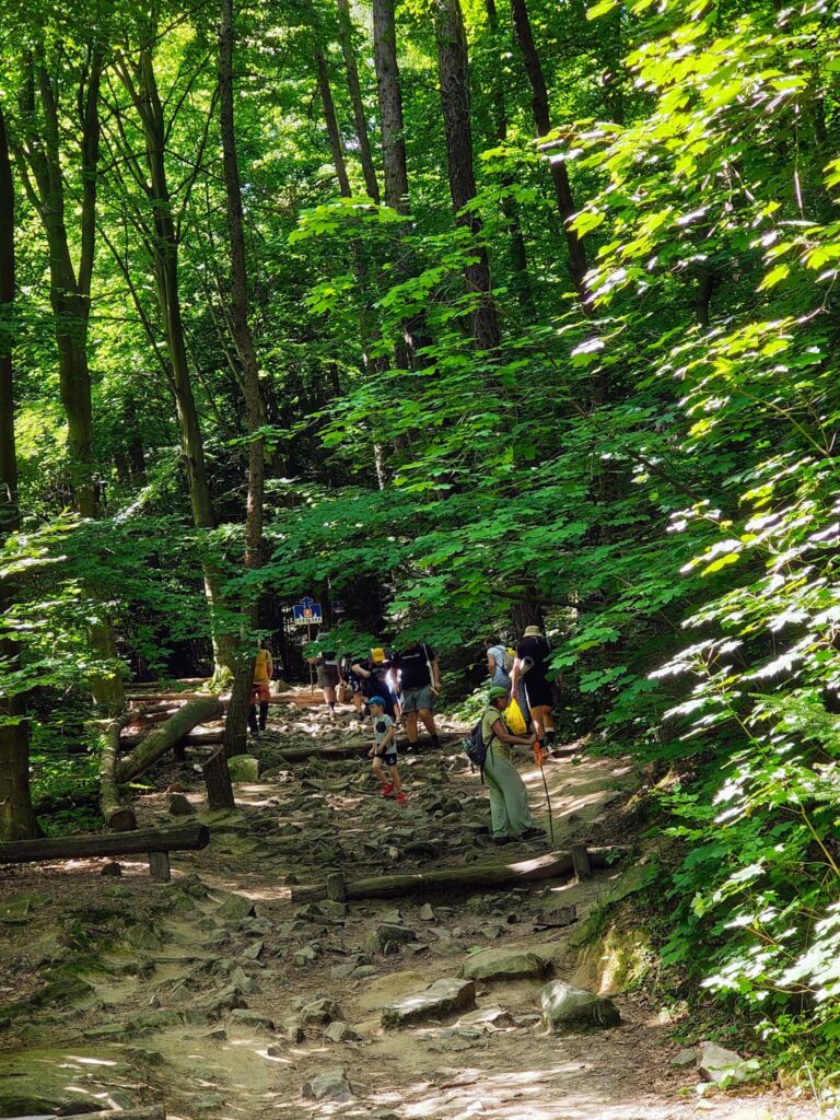 529700716_1068193058798938_7790242550041148262_n