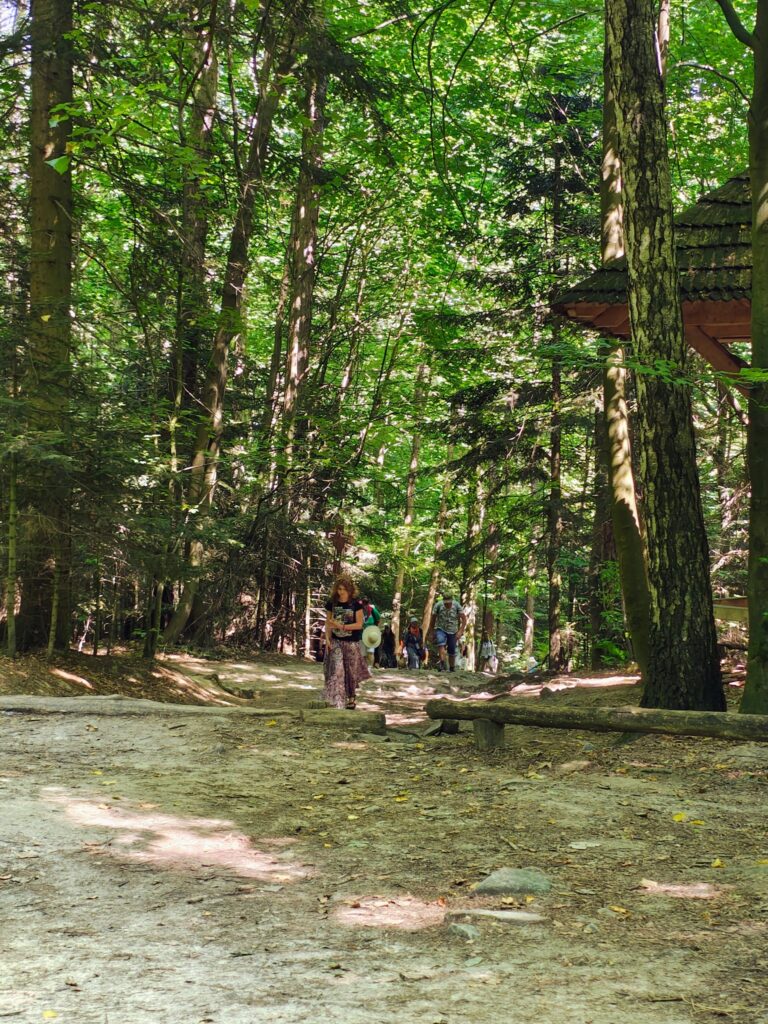 529741212_1068195355465375_9086832730224483502_n