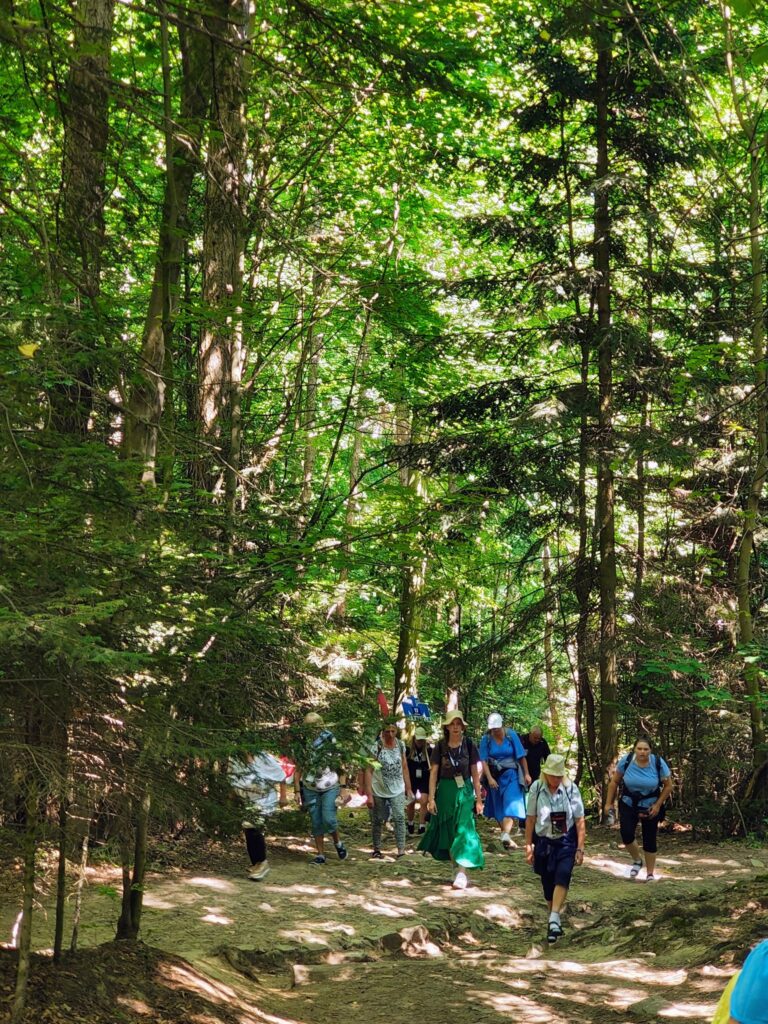 529761022_1068198518798392_8459340365808909075_n