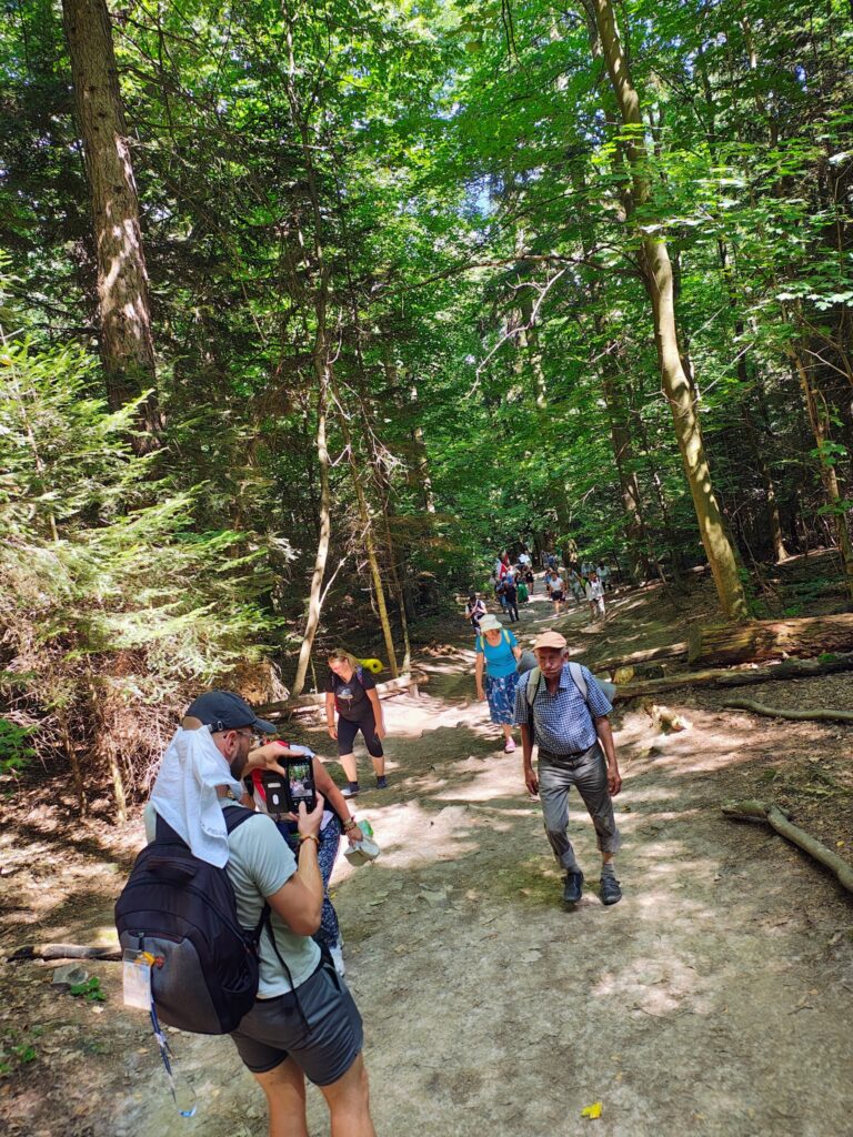 529836625_1068199128798331_5392284355313926823_n