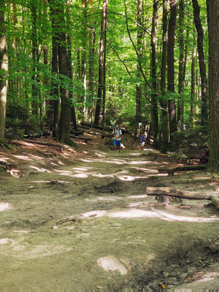 529853814_1068195142132063_8847756051309683787_n