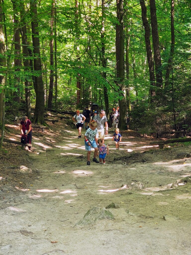 529856670_1068194262132151_5537014772584713218_n