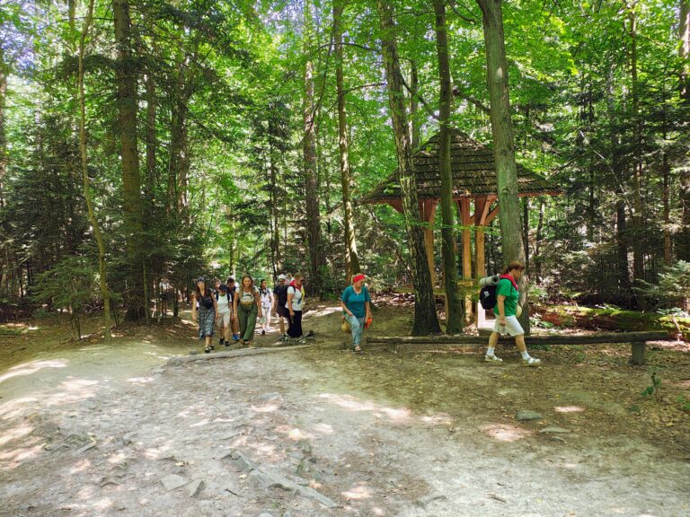 529867377_1068194225465488_1232660936322106846_n