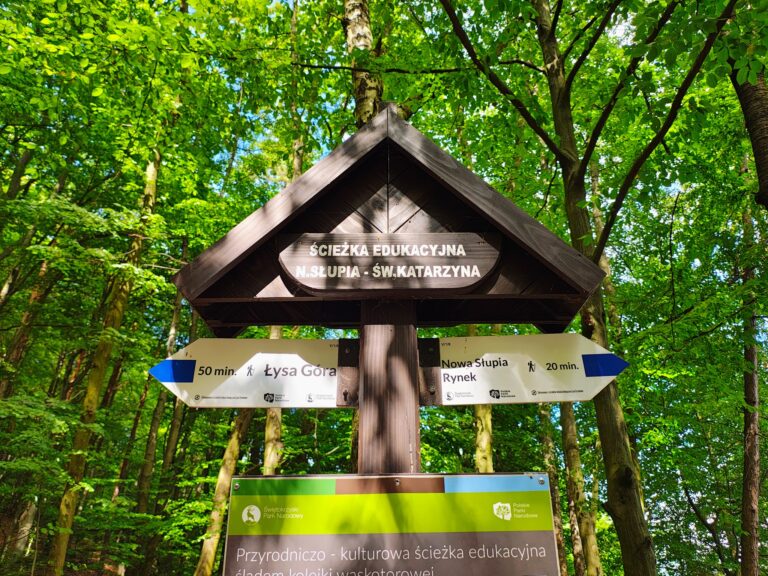 529868425_1068194372132140_8637839291034553519_n