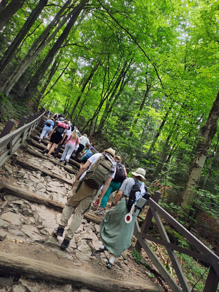 529942186_1068200038798240_4530903152212173484_n