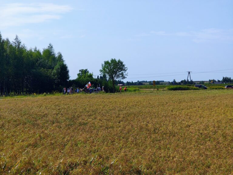 529946597_1067236738894570_8548622556347957656_n