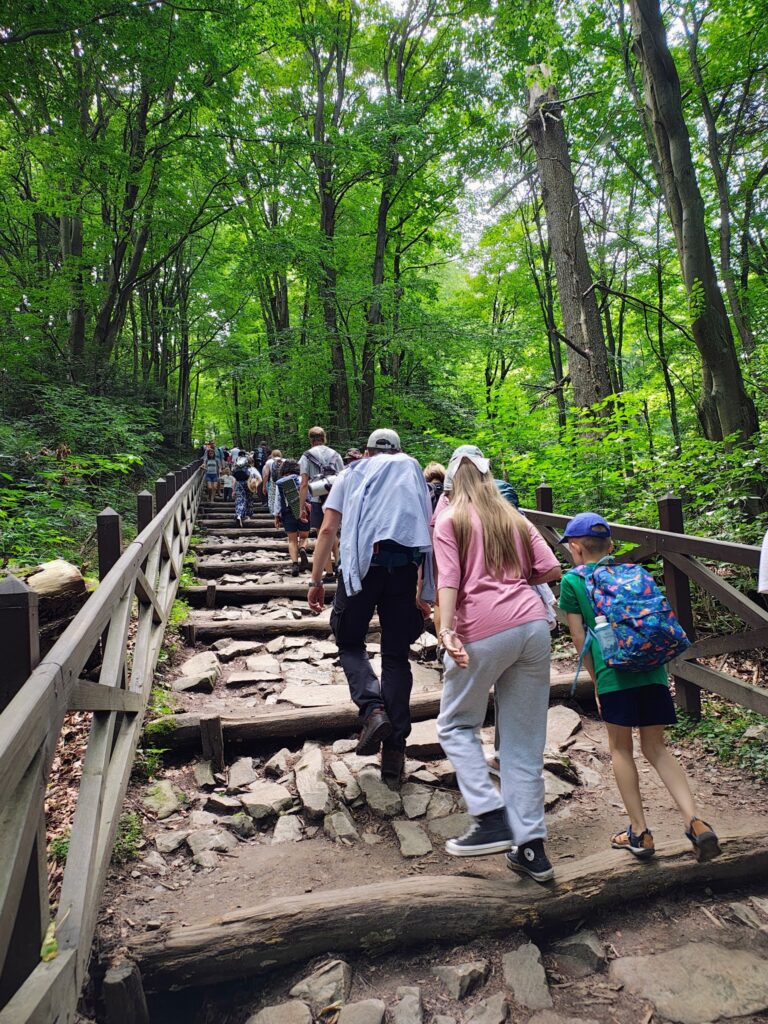 530133661_1068199985464912_9179316152251089208_n