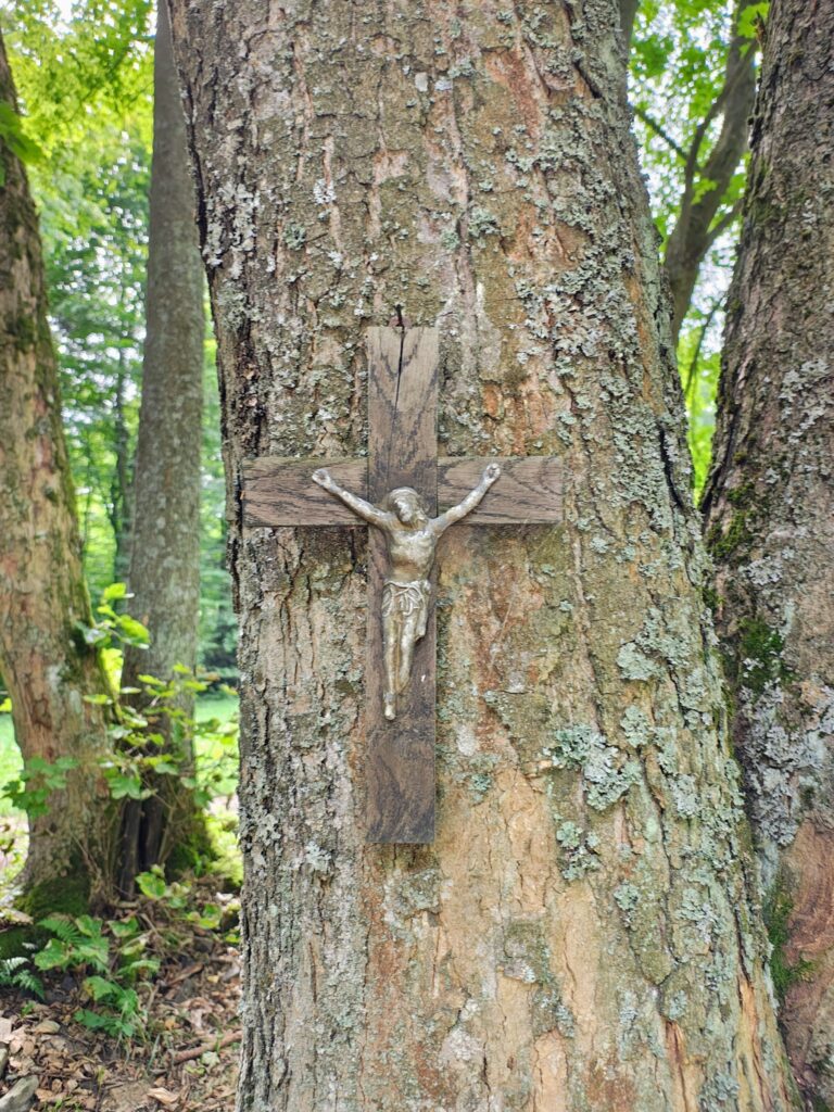 530231851_1068200588798185_8806033415035486066_n