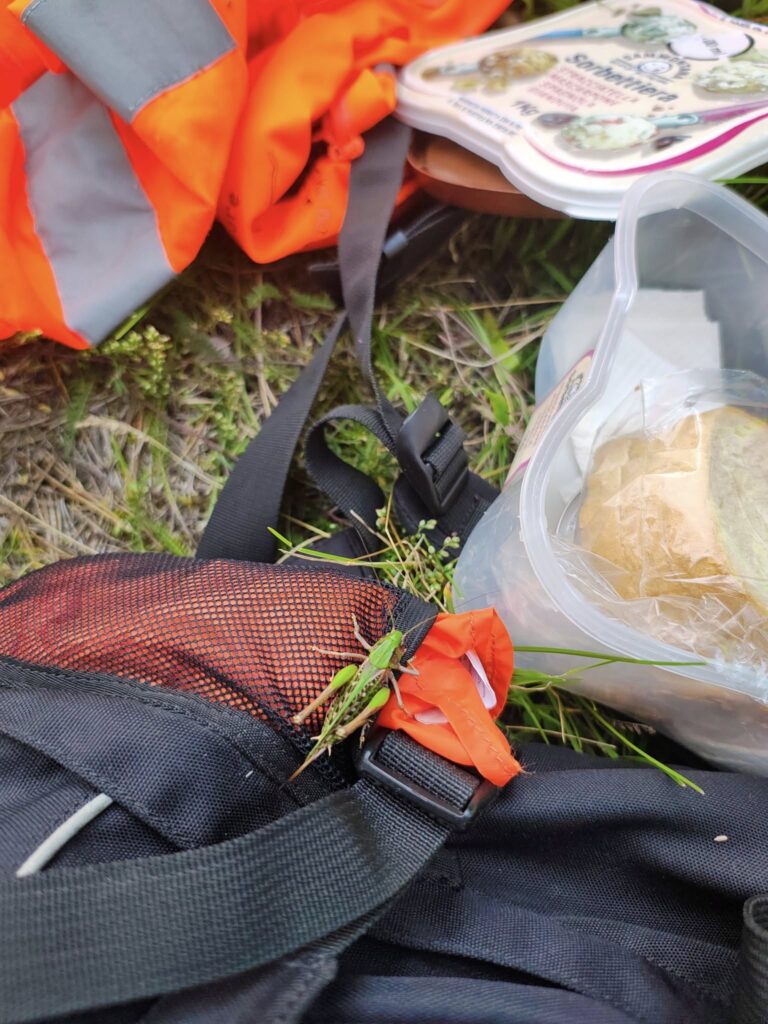 530234929_1069431878675056_6416312774282810347_n