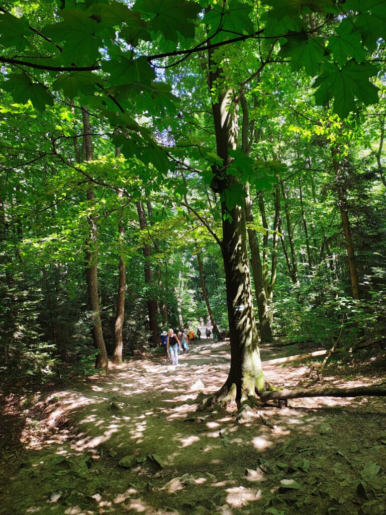 530241055_1068195062132071_8944311625285246326_n