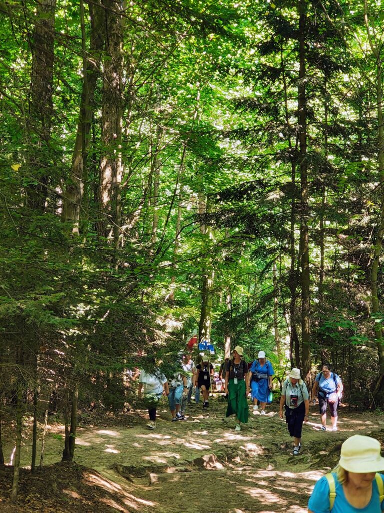 530278249_1068193872132190_8185736441416403618_n