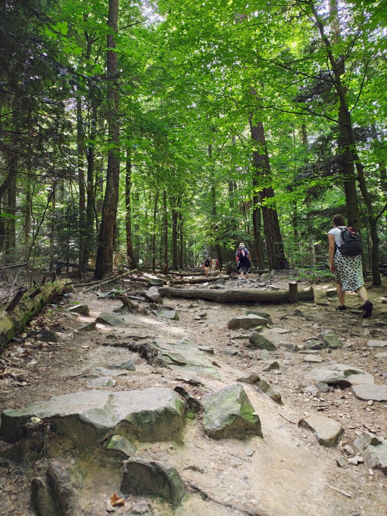 530442841_1068199155464995_5619064329061111555_n