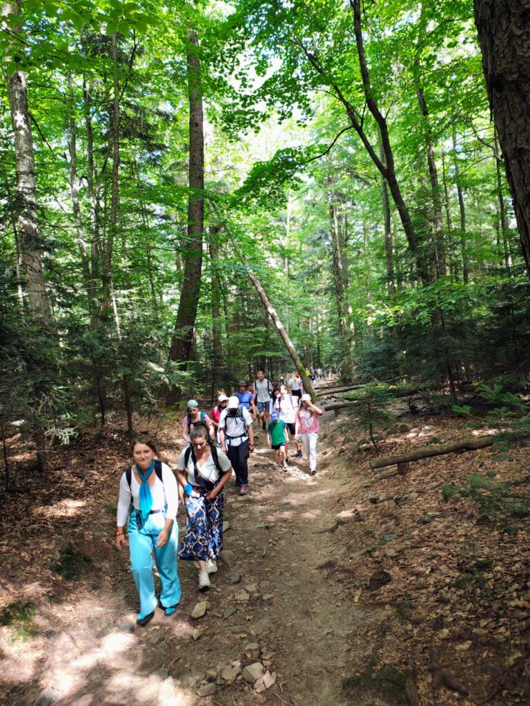 530667520_1068199565464954_5953518014522782940_n