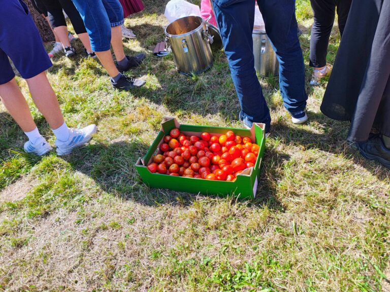 530797976_1068166945468216_1222007716989911630_n