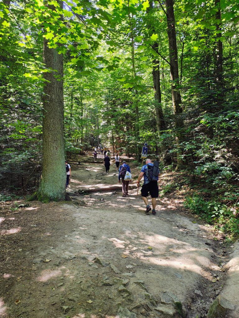 530813940_1068193482132229_5678150911967752779_n