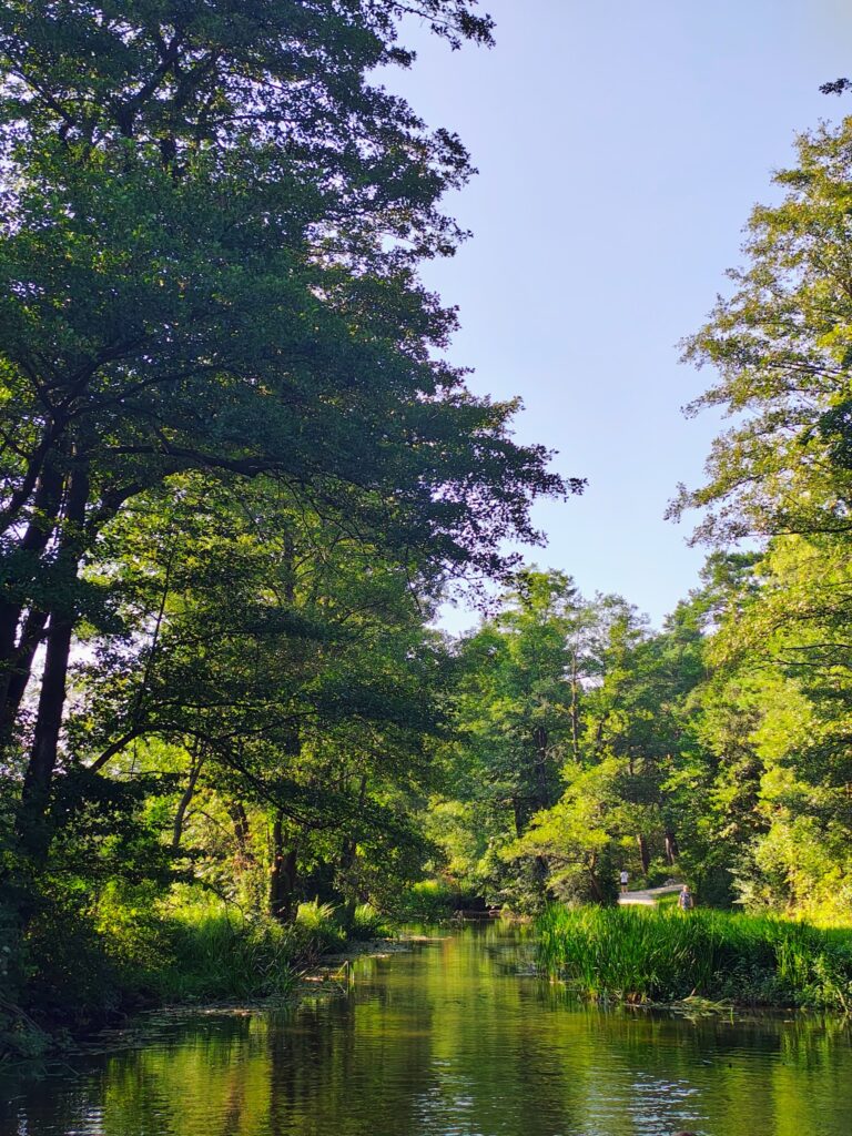 530888122_1069808531970724_1750737744671618362_n