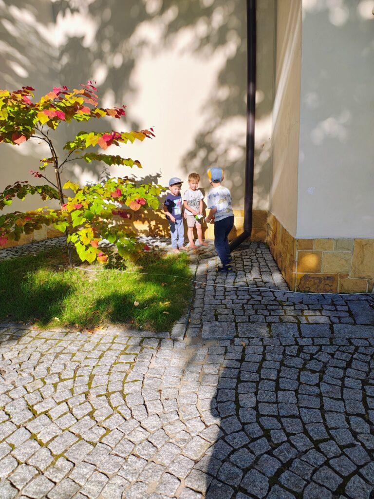 531160298_1070580055226905_2724263735383006562_n