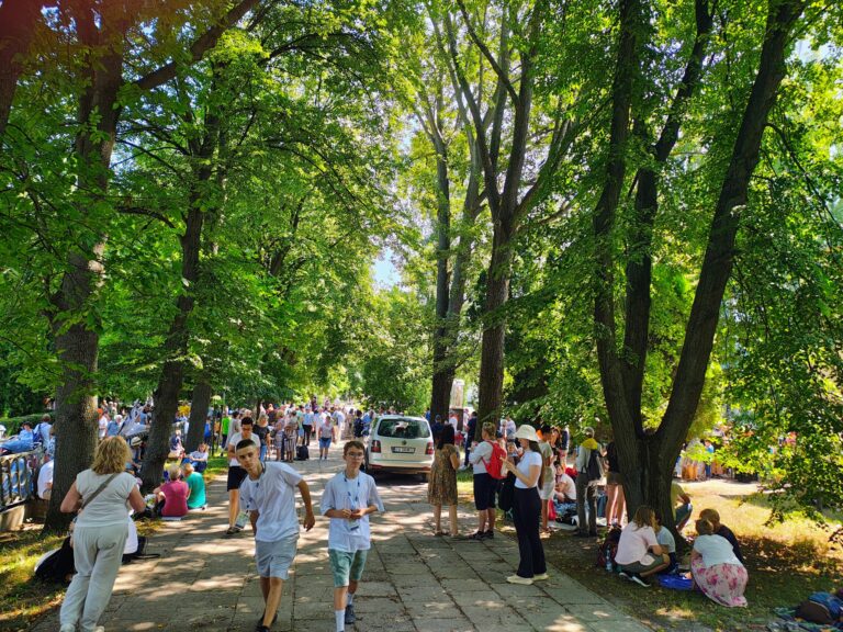 IMG_20250803_114005206_HDR_AE