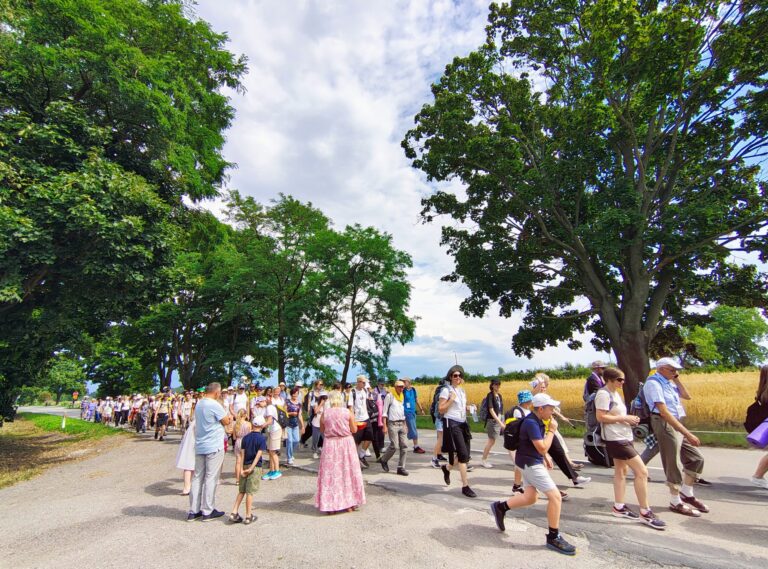 IMG_20250803_144436597_HDR_AE