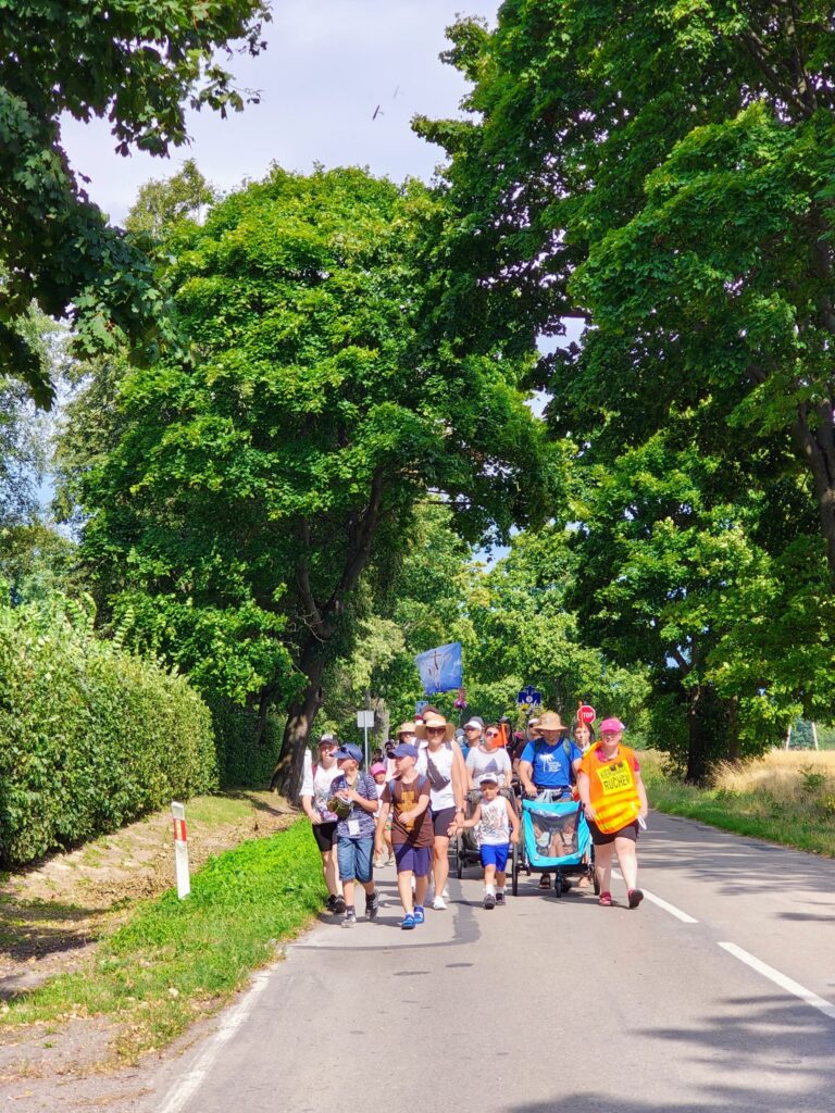 IMG_20250803_145446370_HDR_AE