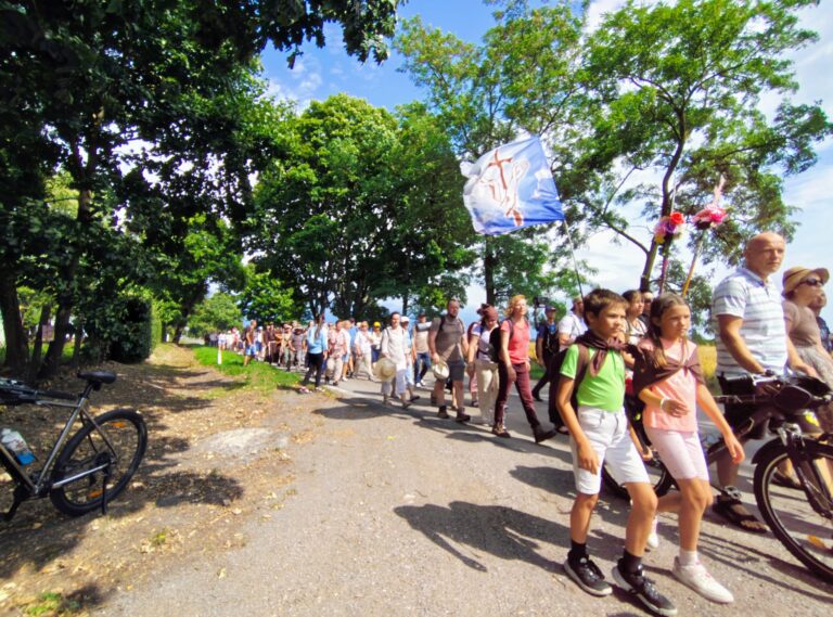 IMG_20250803_145524064_HDR_AE