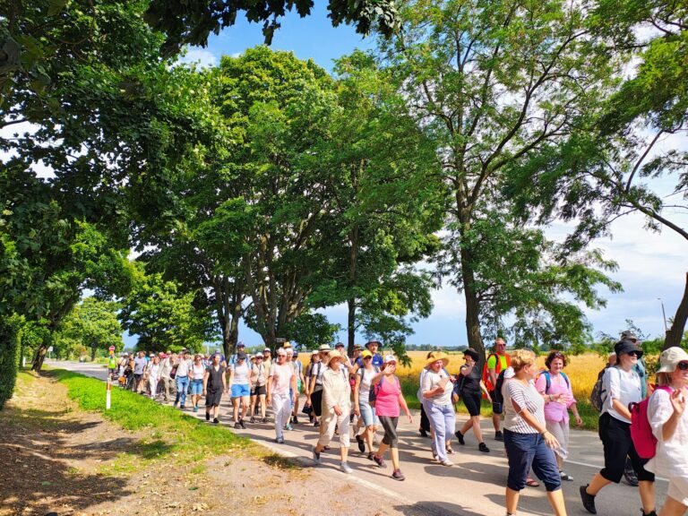 IMG_20250803_145543865_HDR_AE