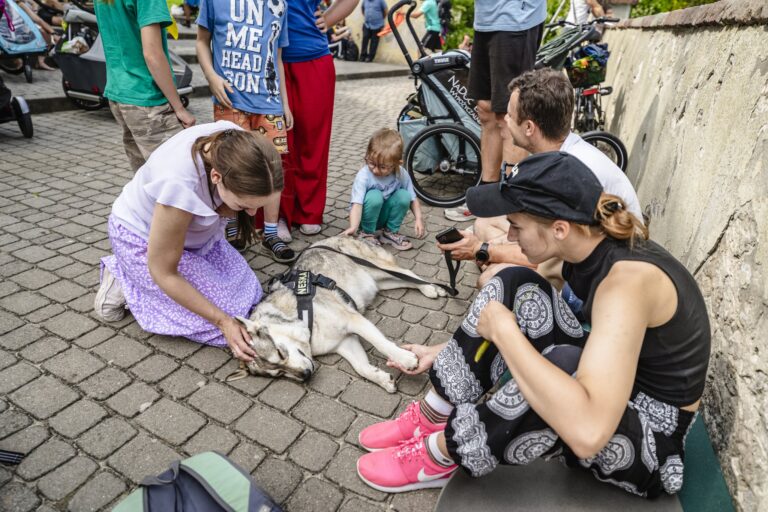 Maksymilian Rej-26138