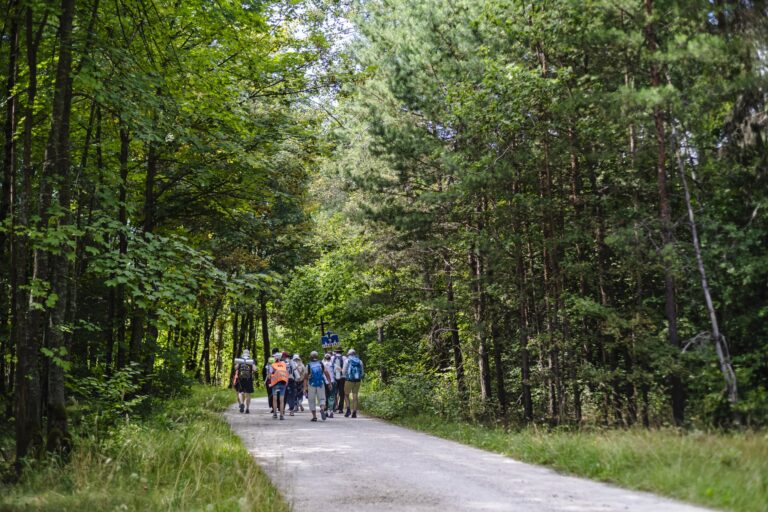 Maksymilian Rej-26633